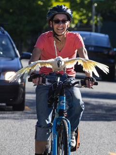 Big Bird riding the bike