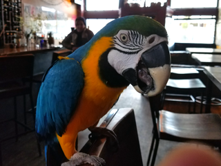 Misha enjoying her latte